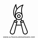 Clippers Coloring Pages For Kids  Free To sketch template
