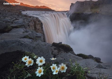 Jökulsá á Fjöllum Travel Guide | Guide to Iceland