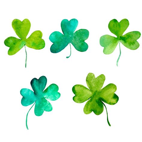 What's the Difference Between Shamrock and Four-Leaf Clover? | Family Handyman