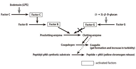 Bacterial Endotoxin test | Wako LAL System