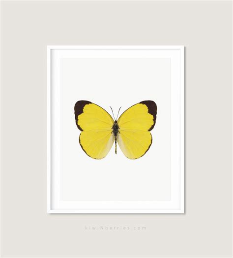 Prints Home Décor Butterfly Print Trendy Wall Art Butterfly Printable Art Butterfly Grid Poster ...