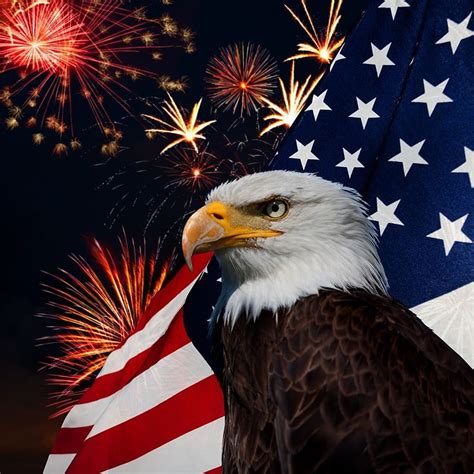 American flag. Fireworks. Bald Eagle. : Patriotic, Patriotic Bible HD ...