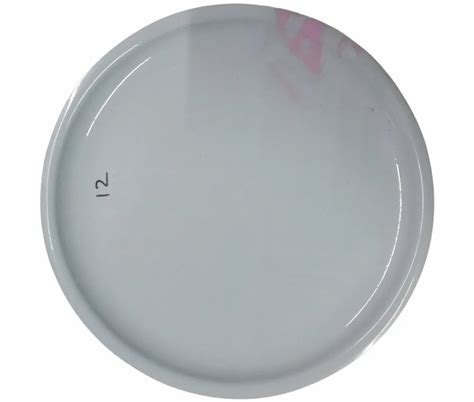 White Round 12inch Acrylic Dinner Plate, For Event at Rs 85/piece in Mumbai