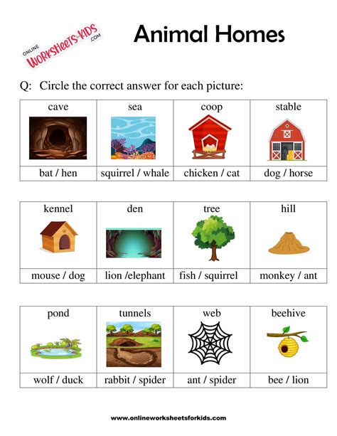 Free Animals Homes Worksheet for Grade 1