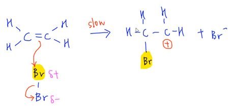 Electrophilic Addition Mechanism for Alkenes