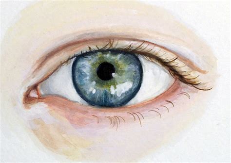 Eye Painting - Custom Eye Portrait - Original Watercolor. $125.00, via Etsy. | Eye painting ...