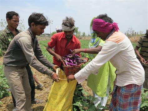 You are helping Organic Farming in India – Urban Composter™ Australia