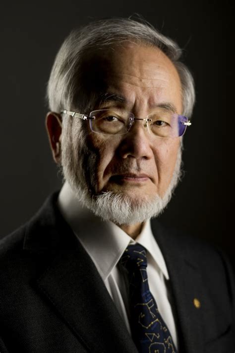 Yoshinori Ohsumi – Facts - NobelPrize.org