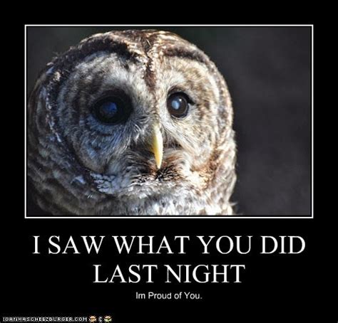 16 Funny Owl Memes - For Fum And Interesting Articles | Feafum