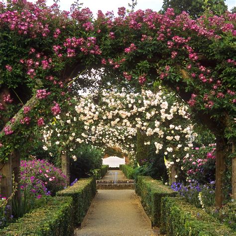 Mottisfont Abbey Rose Garden, Hampshire, UK | An outstandi… | Flickr