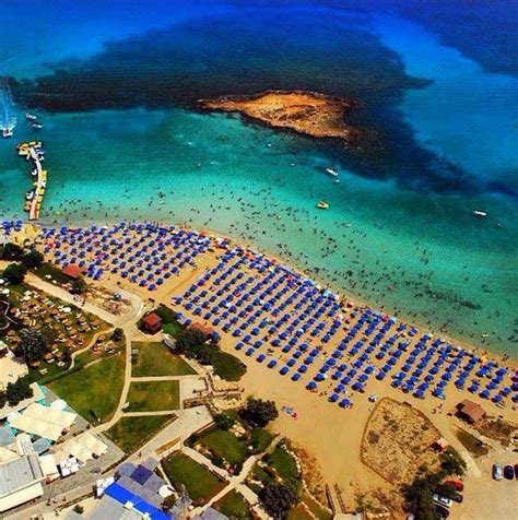 Fig Tree Bay, Cyprus. | Fig tree, Cyprus, Fig