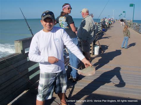 On the Boards in Venice Florida: Venice Pier Fishing Tournament, Venice Florida