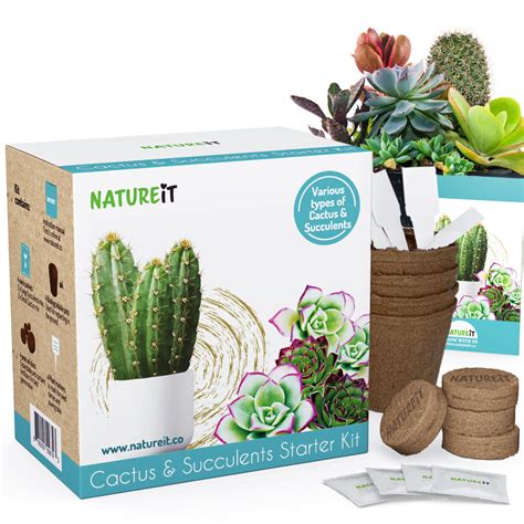 Cactus & Succulent Starter Kit - Grow Succulents from Seed | Natureit