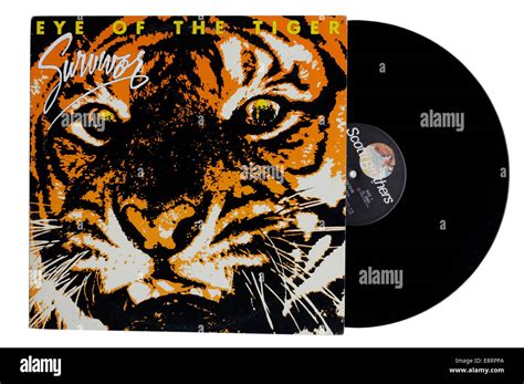 Eye of the Tiger album by Survivor Stock Photo - Alamy