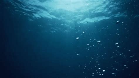 Underwater Bubbles GIF - Underwater Bubbles - Discover & Share GIFs