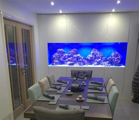 Custom In Wall Fish Tank Installed in Glossop - Oceanlife Aquatics