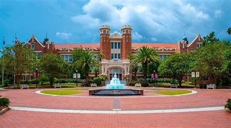 Florida State University student senate passes resolution to help ...