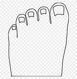 Toe Clipart Clip Toes Cliparts Drawing Neuropathy Foot Basic Words  sketch template