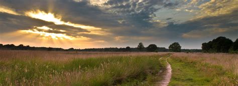 Heathland Management Services | Keeping our countryside beautiful