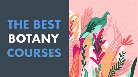 5 Best Botany Classes and Courses Online