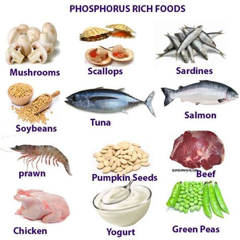 Limit or Avoid these High Phosphorus Foods | Nursing ... Lose 40 Pounds, Health Facts, Health ...