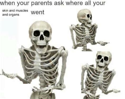 50+ Hilarious Skeleton Memes To Get You Into The Spooktober Spirit