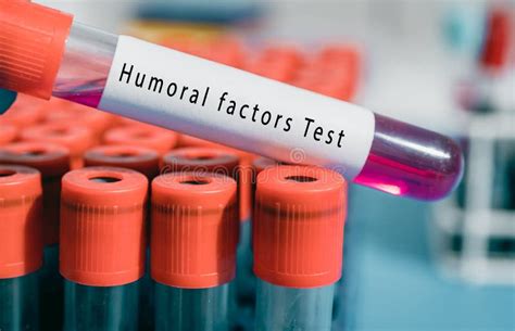 Thymus Humoral Factors Test Helps Develop the Lymphoid System Stock Image - Image of humoral ...