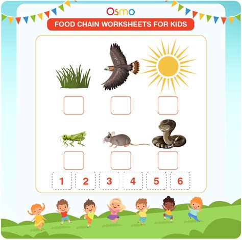 Food Chain Worksheets For Kids | Download Free Printables