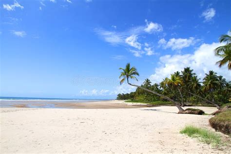 Beach of Bahia stock photo. Image of south, relax, blue - 21356480