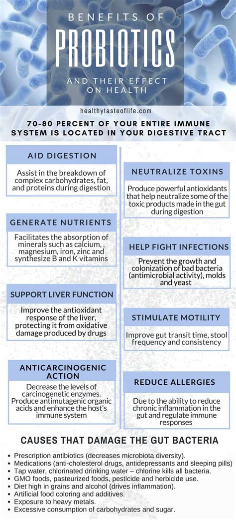 Benefits Of Probiotics And Their Effects On Digestive Health | Healthy ...