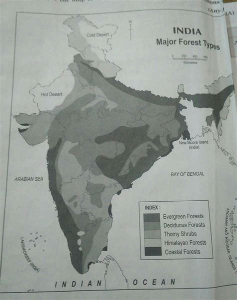 Indian Forest Map