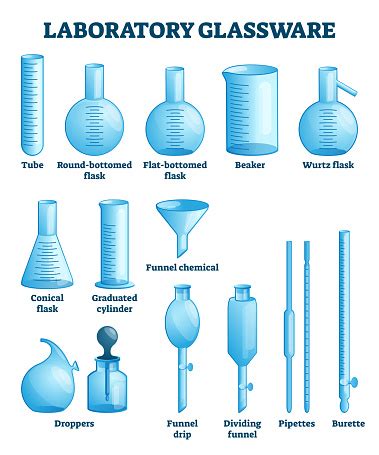 Laboratorium Glaswerk Vector Illustratie Gelabeld Wetenschap Apparatuur Set Stockvectorkunst en ...