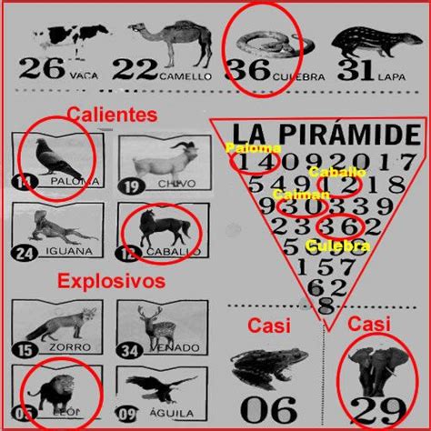 resultados del semana, loteriadehoy, loterias de venezuela, loterias en venezuela, animalitos ...