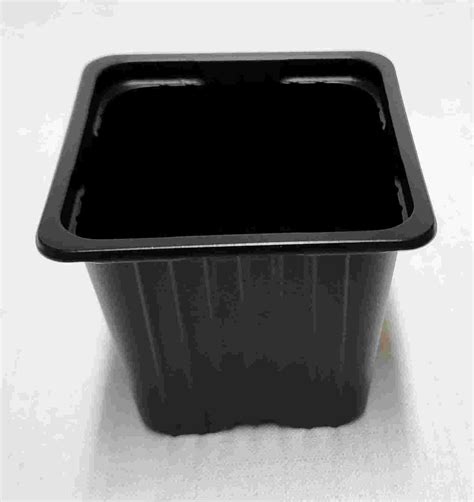 Plastic seedling pots - 7 x 7 x 6 cm - Black - Stone Lantern Bonsai Nursery