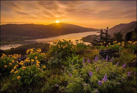 Columbia River Gorge Springtime Sunrise | Breathtaking places, Columbia river gorge, Columbia river