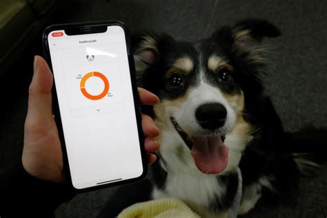 Smart dog collar tells owners what's in a bark