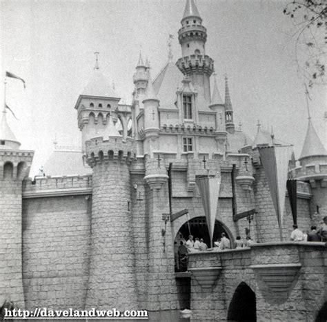 Daveland Disneyland Castle Photos