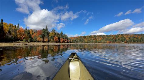 5-Day Solo Canoe Camping in Algonquin Park Canada 🍁 : r/camping