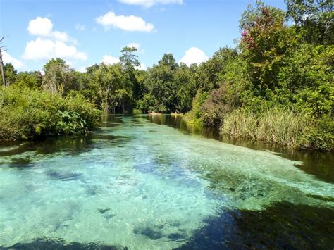 Paddle Boarding on the Weeki Wachee River