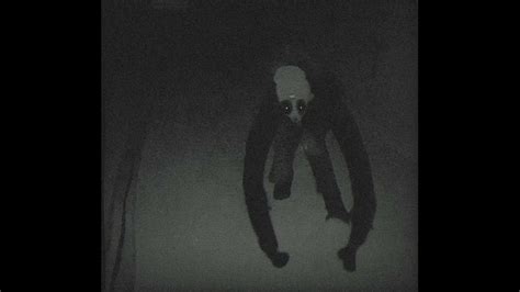 TUNNEL CREATURE [ANALOG HORROR] #analoghorror - YouTube