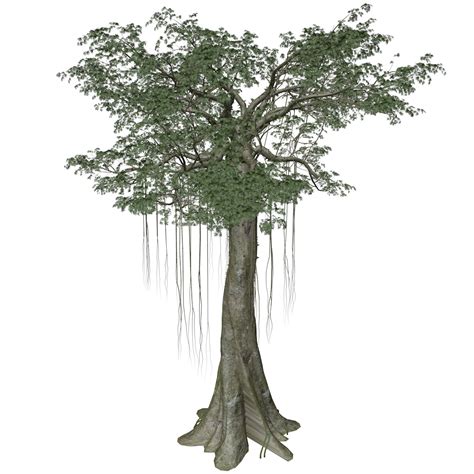 ArtStation - Kapok Tree #01 - High Poly Tree (3D Model) | Game Assets