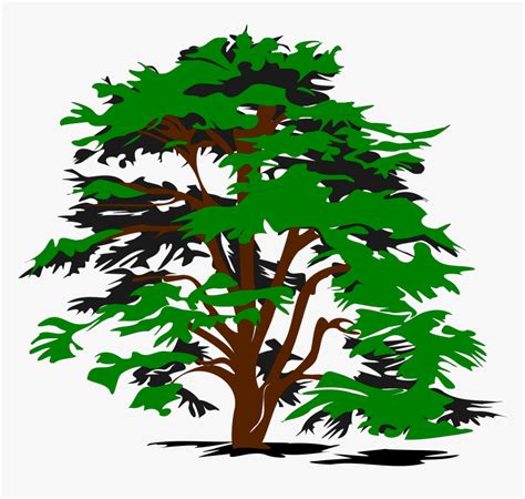 Simple Vector Tree Clip Arts - Cedar Tree Clip Art, HD Png Download - kindpng