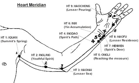 heart meridian http://infinityflexibility.com/wp/ Meridian Acupuncture, Acupuncture Points ...