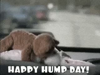 Hump Day Gif - IceGif