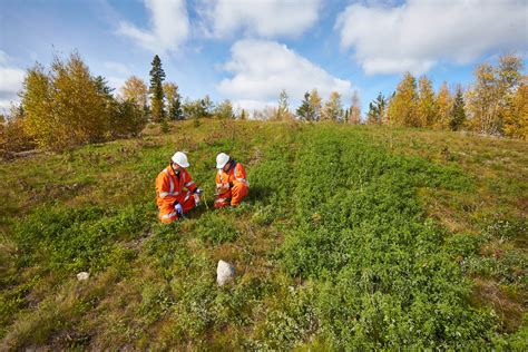 The Green Jobs Program - MiHR | Mining Industry Human Resources Council