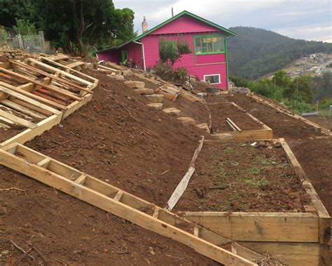 How To Landscape A Steep Slope | Good Life Permaculture | Sloped ...