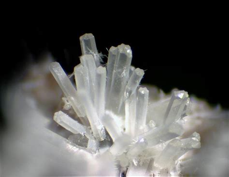 File:Nosean crystal group - Ochtendung, Eifel, Germany.jpg - Wikimedia ...