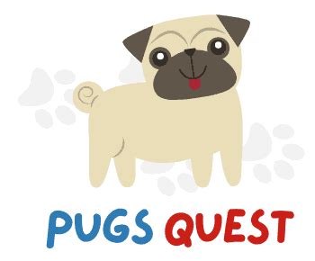 Pug Crying&Whining: Common Causes and How to Stop