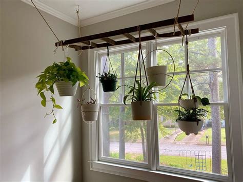 Plant Ladder Ceiling Hanger- 26 DIY Plant Stands You'll Love- The ...