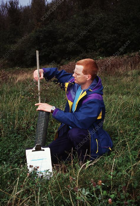 Forestry management - Stock Image - E760/0186 - Science Photo Library